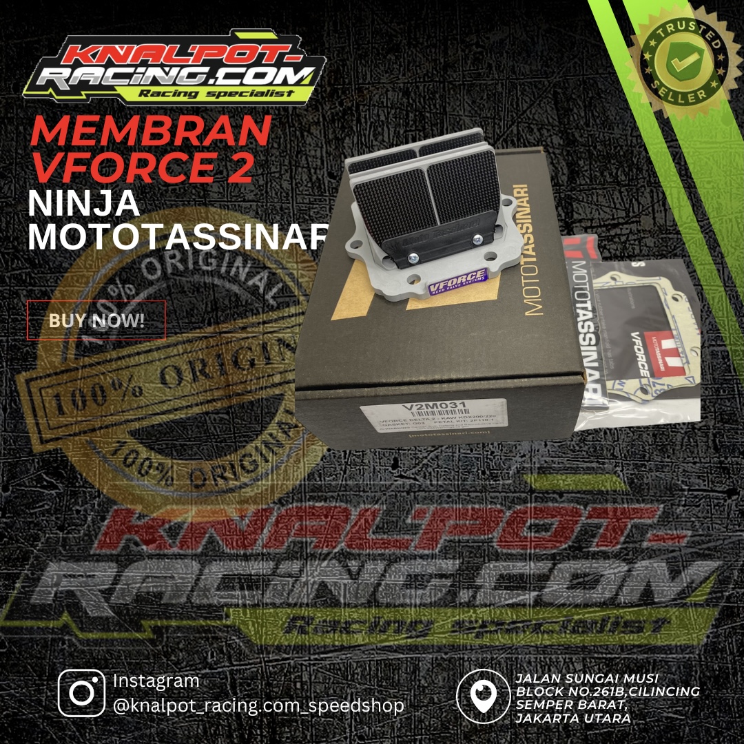 VFORCE 2 NINJA MOTOTASSINARI 